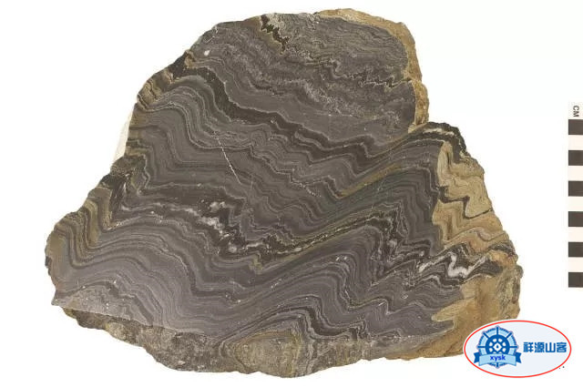 什麼是三大巖石類？