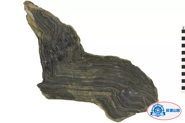 什麼是三大巖石類？