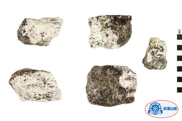 什麼是三大巖石類？