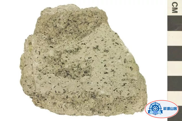 什麼是三大巖石類？