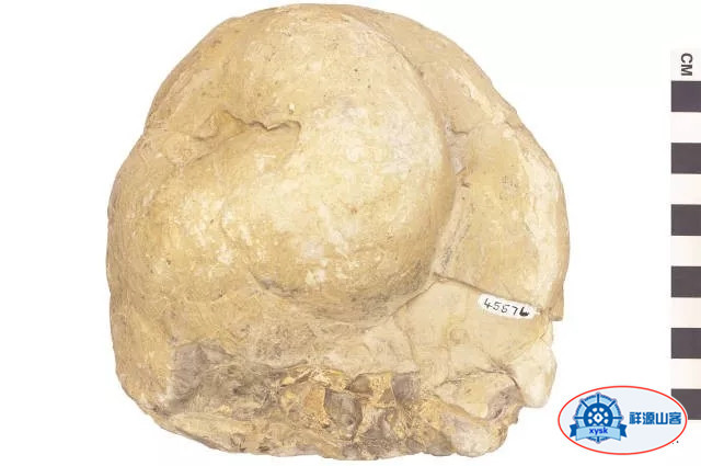 什麼是三大巖石類？