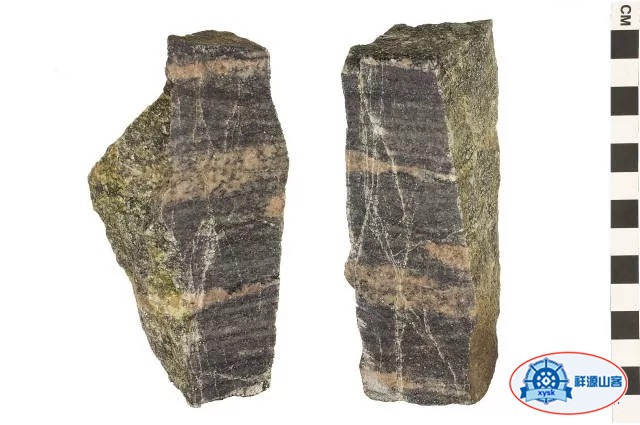 沉積巖和變質巖