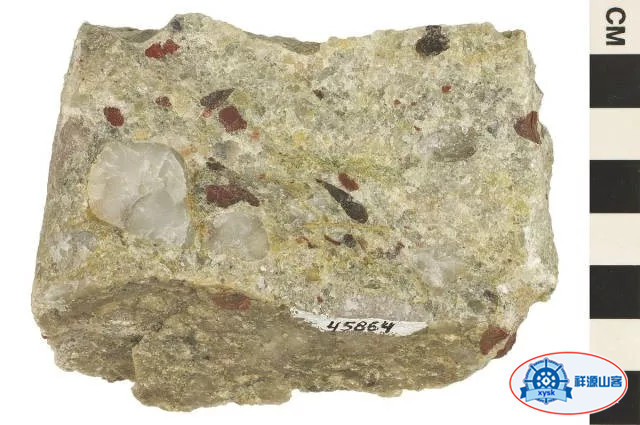 沉積巖和變質巖