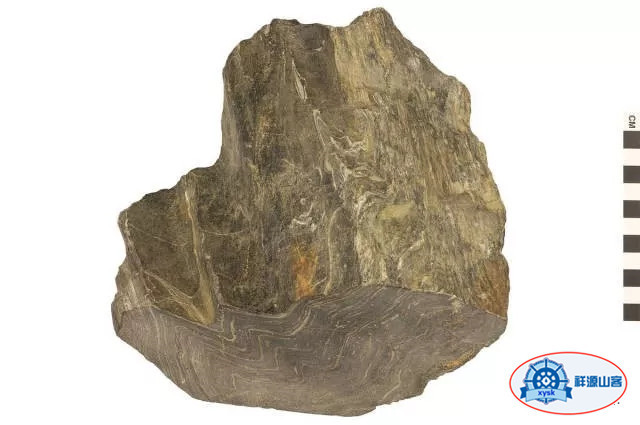 沉積巖和變質巖