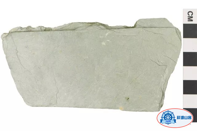 沉積巖和變質巖