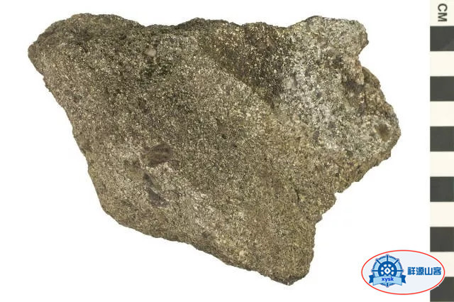 沉積巖和變質巖