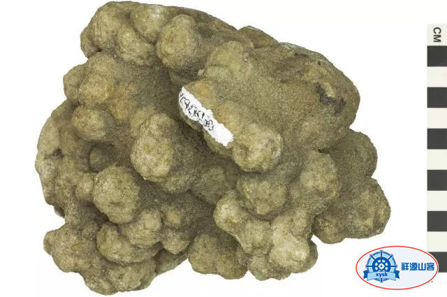 沉積巖和變質巖