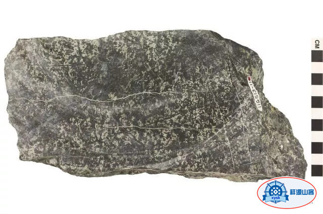 沉積巖和變質巖