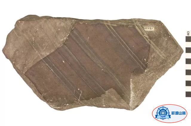 沉積巖和變質巖