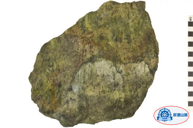 沉積巖和變質巖