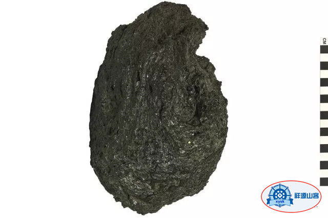 沉積巖和變質巖