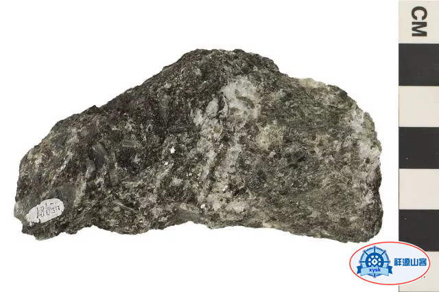 沉積巖和變質巖