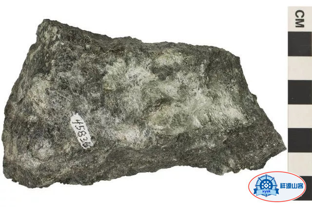 沉積巖和變質巖