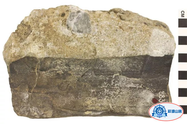 沉積巖和變質巖