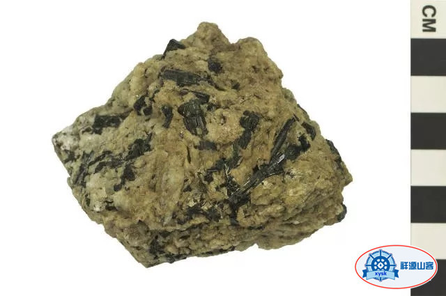 氟石_孔雀石_芙蓉石_木化石